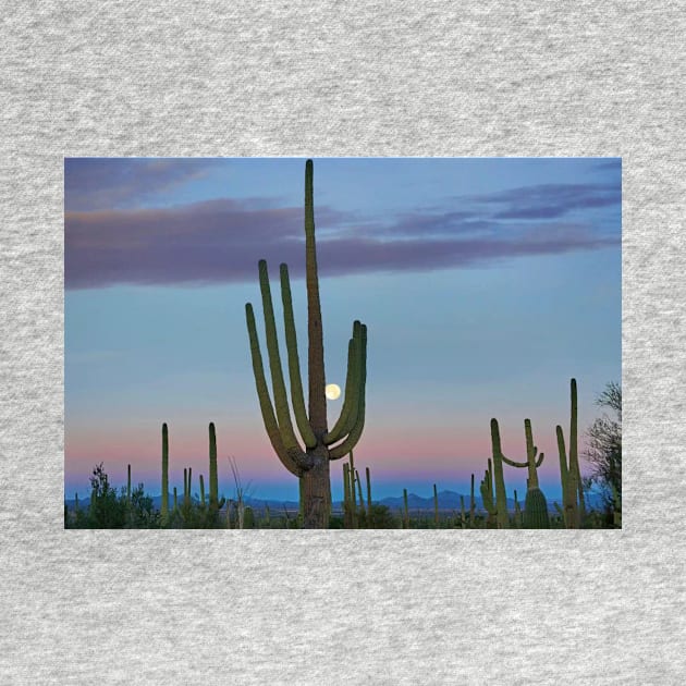 Saguaro And Moon Saguaro National Park by AinisticGina